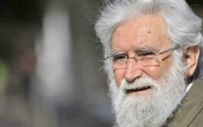 LAS LUCHAS ANTISISTÉMICAS Y SUS DISTINTOS PASOS