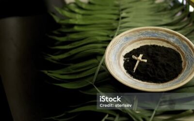 Miércoles de ceniza: somos tierra… aquella a la que vamos perteneciendo.