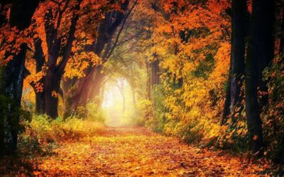 Semana Santa en el camino de Emaús
